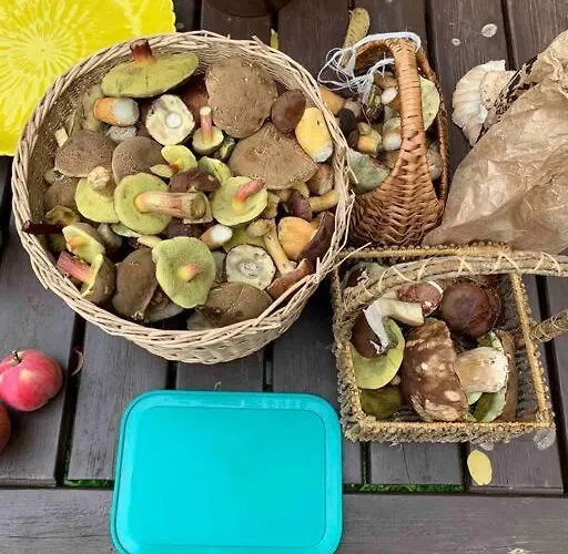 Дом отдыха Chaloupka V Srdci Krivoklatska